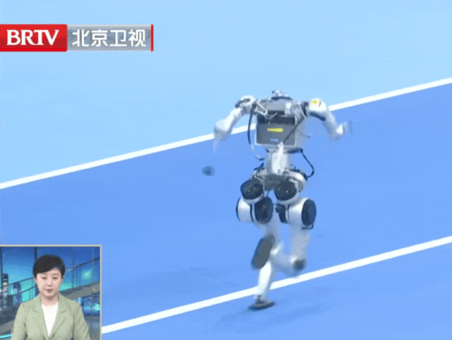 支队伍