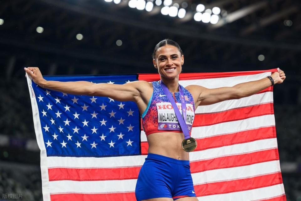 米领域, rGTIE 米领域, rGTIE